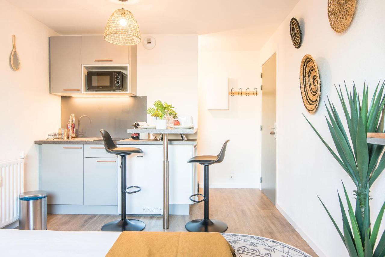 L'Integrale Apartment Strasbourg Ngoại thất bức ảnh